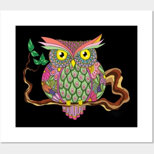 Spring Owl Posters and Art